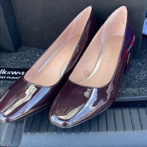 Elegant Burgundy Women's Shoes
